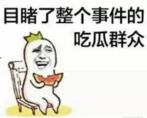 沙雕吃瓜系统娱乐圈小说,沙雕吃瓜系统，带你笑看风云变幻