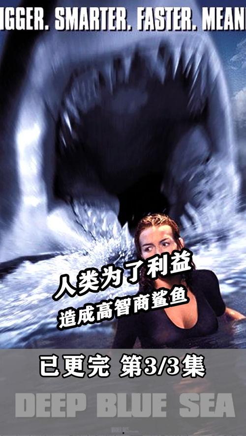 鲨鱼电影解说搞笑