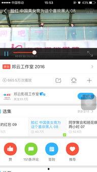 郑云音乐背景资料